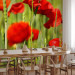 Wall Mural Poppies in the Grain - Close-up of Red Flowers on a Blurred Meadow Background 60376 additionalThumb 4