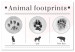Canvas Winter footprints - infographic with animals and English inscriptions 122886