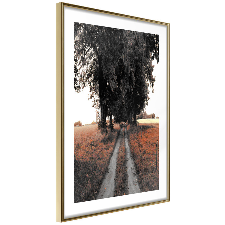 Poster Road to the Forest - landscape of road and trees against orange meadow 124386 additionalImage 6
