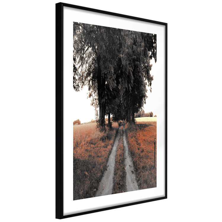 Poster Road to the Forest - landscape of road and trees against orange meadow 124386 additionalImage 11