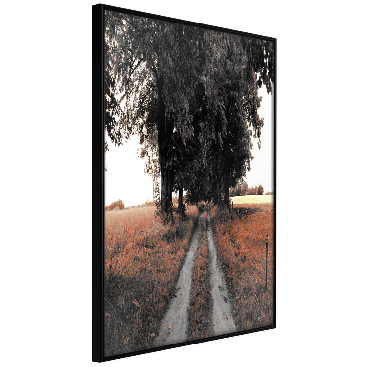 Poster Road to the Forest - landscape of road and trees against orange meadow 124386 additionalImage 12