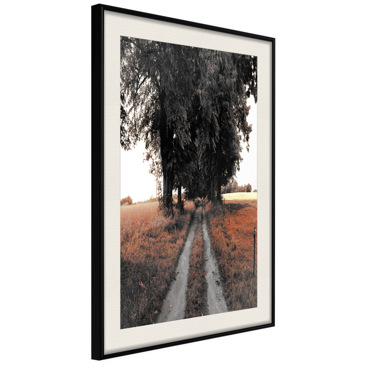 Poster Road to the Forest - landscape of road and trees against orange meadow 124386 additionalImage 3