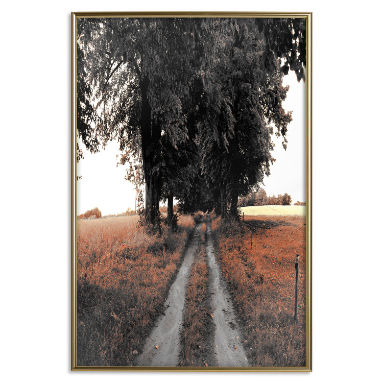 Poster Road to the Forest - landscape of road and trees against orange meadow 124386 additionalImage 20