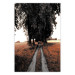 Poster Road to the Forest - landscape of road and trees against orange meadow 124386