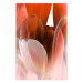 Wall Poster Mysterious Interior - flower with red plant motif with glow 124486