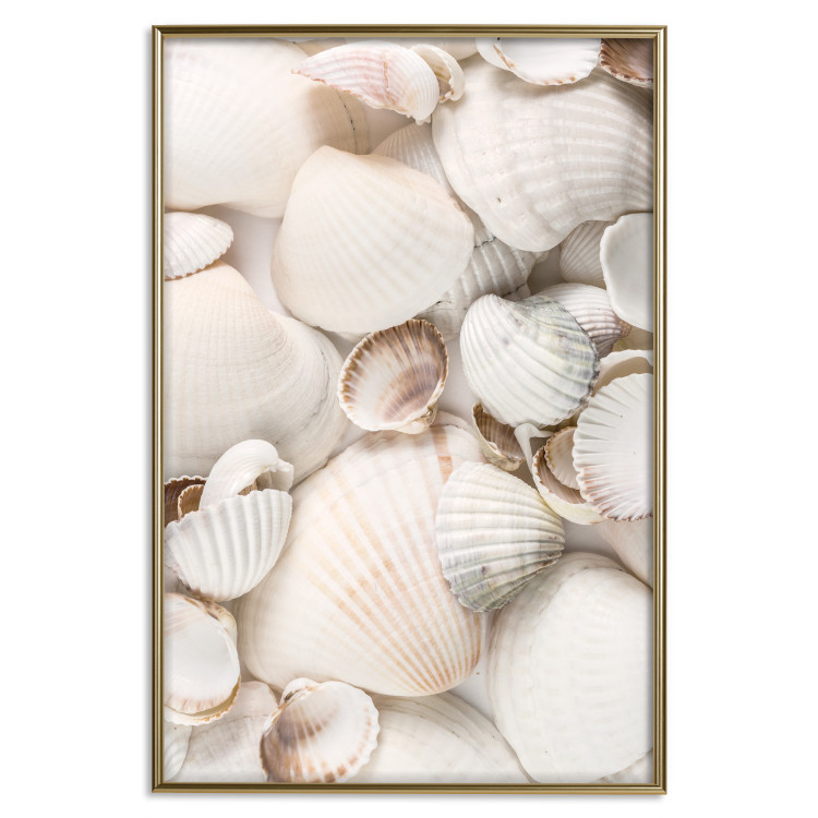 Poster Sea Collection - maritime composition filled with light-colored shells 129486 additionalImage 21