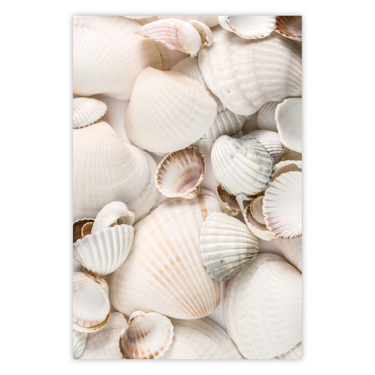 Poster Sea Collection - maritime composition filled with light-colored shells 129486