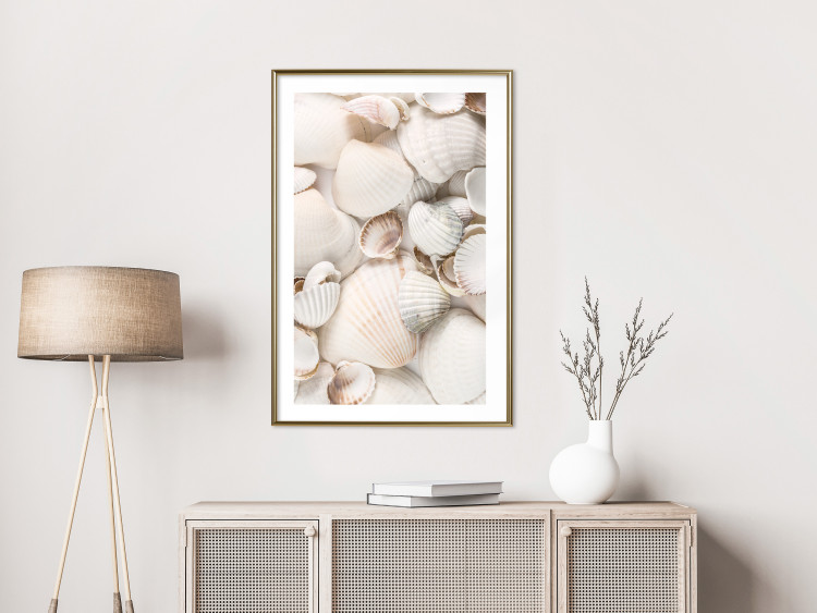 Poster Sea Collection - maritime composition filled with light-colored shells 129486 additionalImage 13