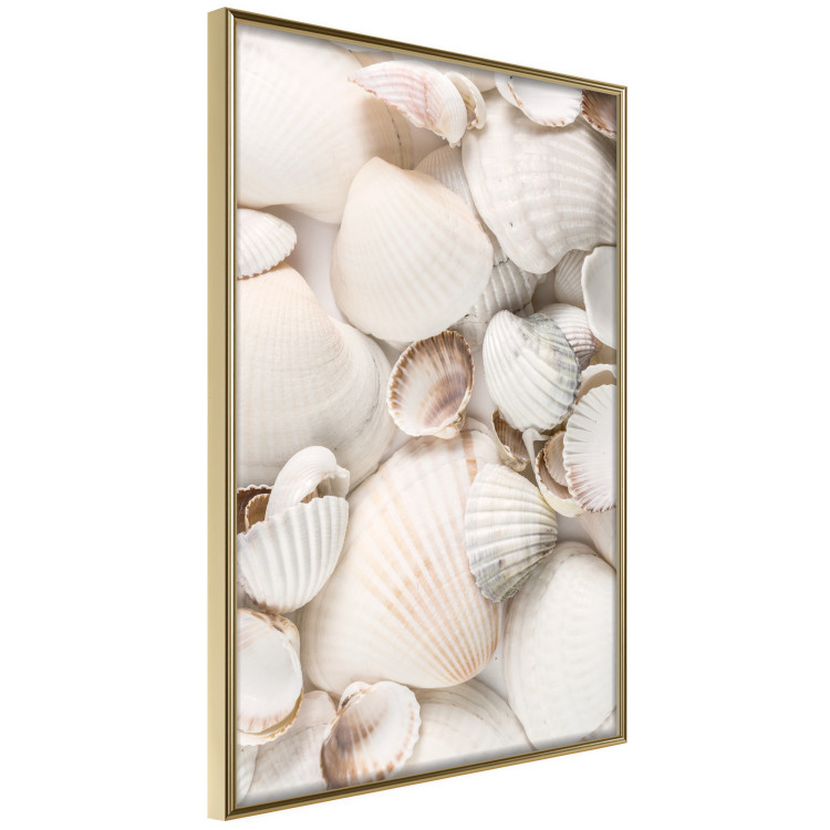 Poster Sea Collection - maritime composition filled with light-colored shells 129486 additionalImage 12