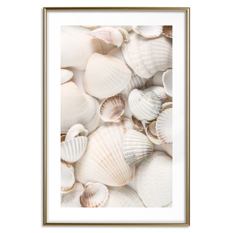 Poster Sea Collection - maritime composition filled with light-colored shells 129486 additionalImage 16