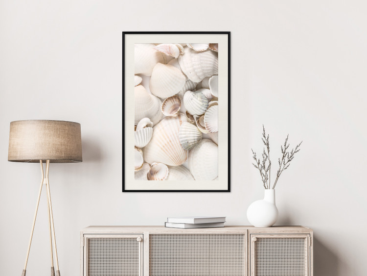 Poster Sea Collection - maritime composition filled with light-colored shells 129486 additionalImage 24