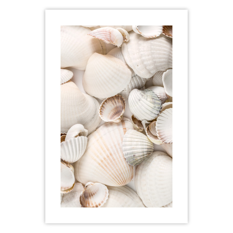 Poster Sea Collection - maritime composition filled with light-colored shells 129486 additionalImage 19