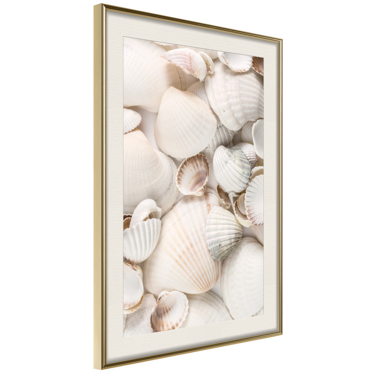 Poster Sea Collection - maritime composition filled with light-colored shells 129486 additionalImage 3