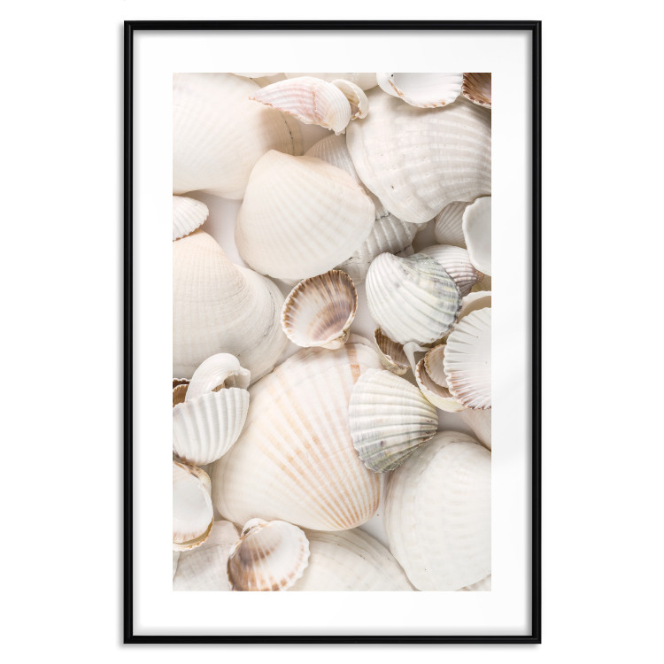 Poster Sea Collection - maritime composition filled with light-colored shells 129486 additionalImage 17