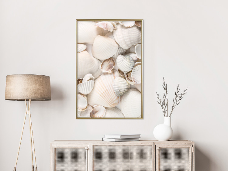 Poster Sea Collection - maritime composition filled with light-colored shells 129486 additionalImage 7