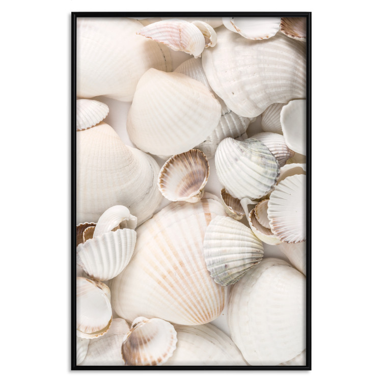 Poster Sea Collection - maritime composition filled with light-colored shells 129486 additionalImage 18
