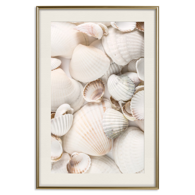 Poster Sea Collection - maritime composition filled with light-colored shells 129486 additionalImage 20