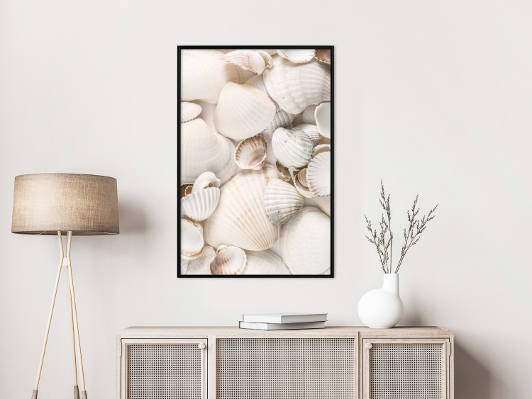 Poster Sea Collection - maritime composition filled with light-colored shells 129486 additionalImage 6