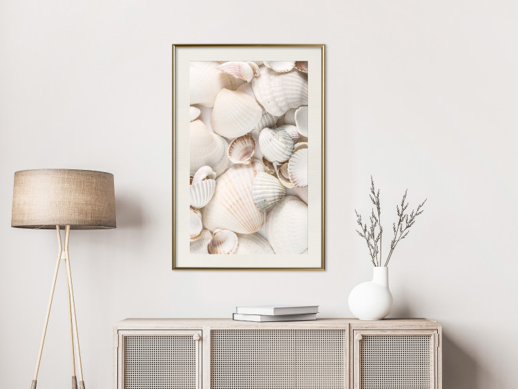 Poster Sea Collection - maritime composition filled with light-colored shells 129486 additionalImage 22