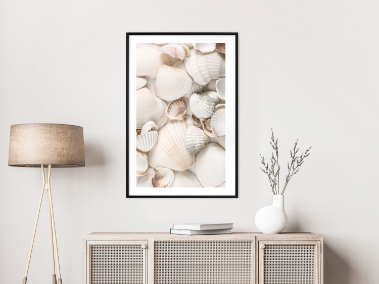 Poster Sea Collection - maritime composition filled with light-colored shells 129486 additionalImage 18