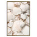 Poster Sea Collection - maritime composition filled with light-colored shells 129486 additionalThumb 21