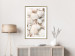 Poster Sea Collection - maritime composition filled with light-colored shells 129486 additionalThumb 13