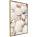 Poster Sea Collection - maritime composition filled with light-colored shells 129486 additionalThumb 14