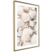 Poster Sea Collection - maritime composition filled with light-colored shells 129486 additionalThumb 9