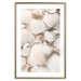 Poster Sea Collection - maritime composition filled with light-colored shells 129486 additionalThumb 16