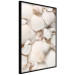 Poster Sea Collection - maritime composition filled with light-colored shells 129486 additionalThumb 11