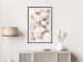Poster Sea Collection - maritime composition filled with light-colored shells 129486 additionalThumb 24
