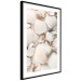 Poster Sea Collection - maritime composition filled with light-colored shells 129486 additionalThumb 8