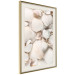 Poster Sea Collection - maritime composition filled with light-colored shells 129486 additionalThumb 3