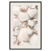 Poster Sea Collection - maritime composition filled with light-colored shells 129486 additionalThumb 19