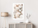 Poster Sea Collection - maritime composition filled with light-colored shells 129486 additionalThumb 3