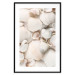 Poster Sea Collection - maritime composition filled with light-colored shells 129486 additionalThumb 15