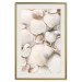 Poster Sea Collection - maritime composition filled with light-colored shells 129486 additionalThumb 20