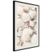 Poster Sea Collection - maritime composition filled with light-colored shells 129486 additionalThumb 2