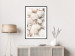 Poster Sea Collection - maritime composition filled with light-colored shells 129486 additionalThumb 23