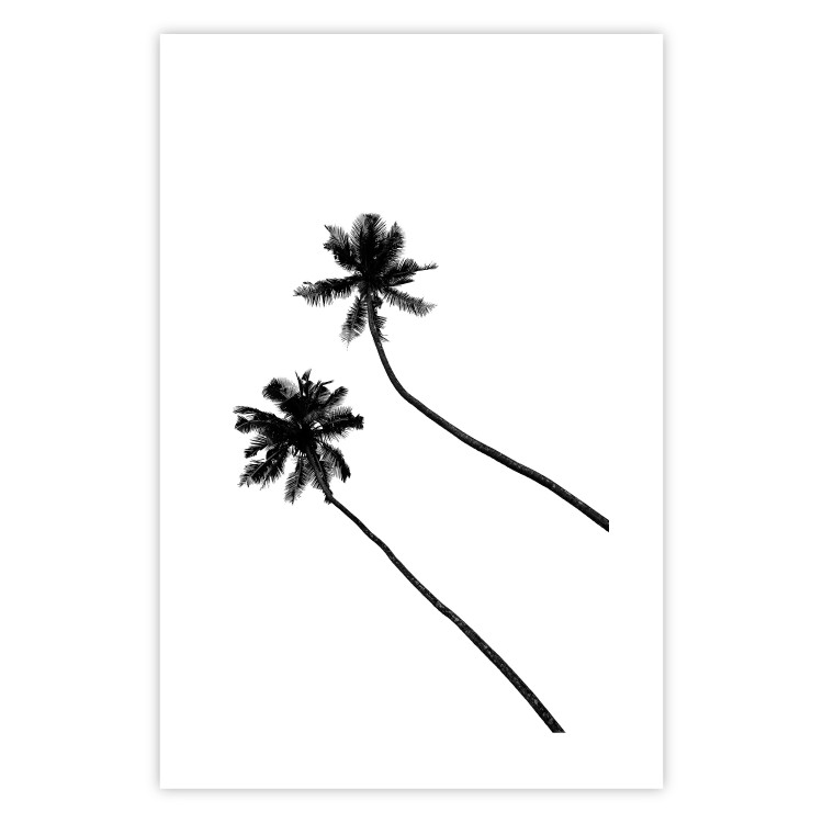 Poster Solitary Palms - black tropical trees on a contrasting white background 129786 additionalImage 19