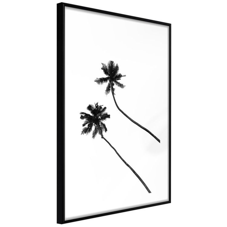 Poster Solitary Palms - black tropical trees on a contrasting white background 129786 additionalImage 6