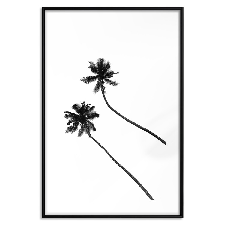 Poster Solitary Palms - black tropical trees on a contrasting white background 129786 additionalImage 17