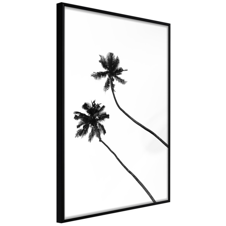 Poster Solitary Palms - black tropical trees on a contrasting white background 129786 additionalImage 13