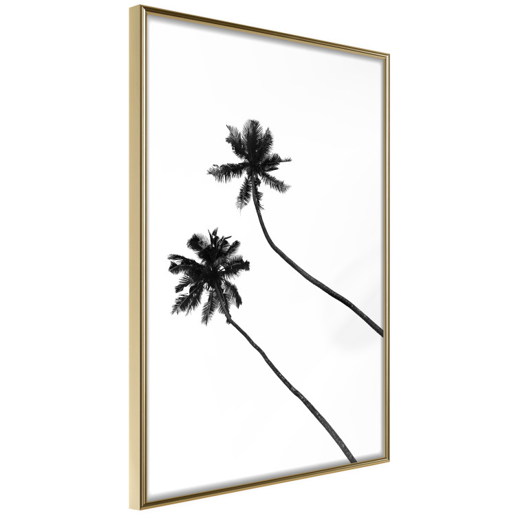 Poster Solitary Palms - black tropical trees on a contrasting white background 129786 additionalImage 14