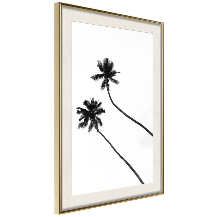Poster Solitary Palms - black tropical trees on a contrasting white background 129786 additionalImage 3