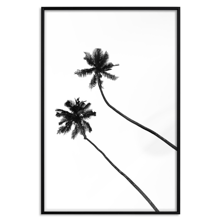 Poster Solitary Palms - black tropical trees on a contrasting white background 129786 additionalImage 16