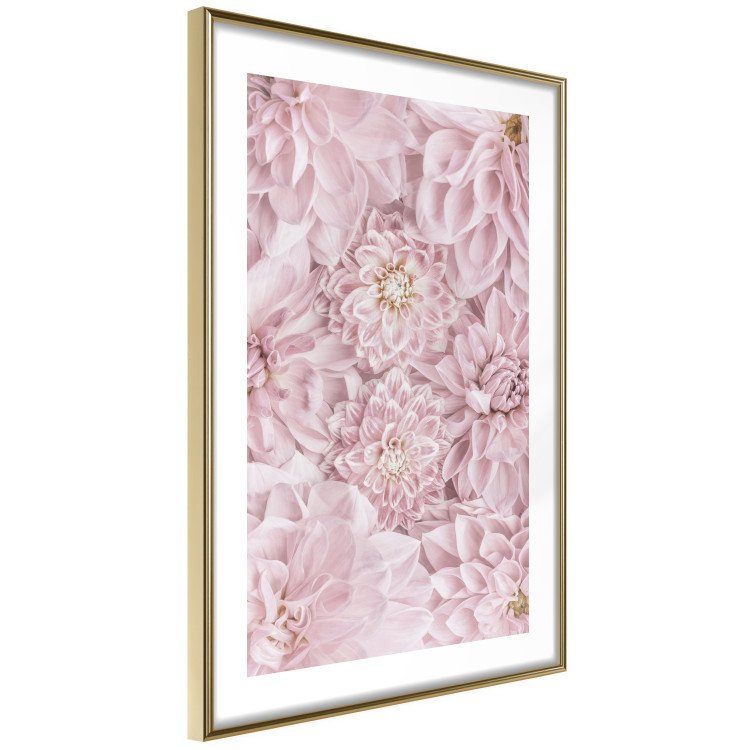Poster Morning Flowers - composition of pink flowers in a romantic motif 135586 additionalImage 14