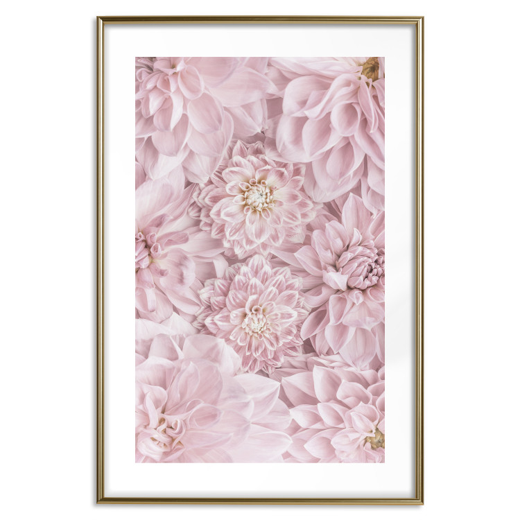 Poster Morning Flowers - composition of pink flowers in a romantic motif 135586 additionalImage 3