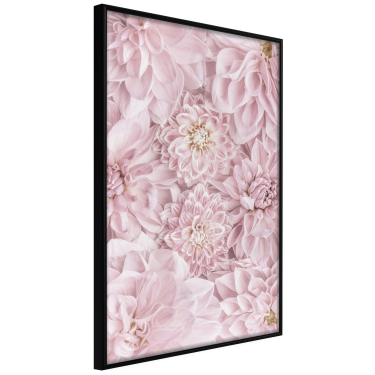 Poster Morning Flowers - composition of pink flowers in a romantic motif 135586 additionalImage 23