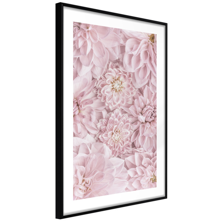 Poster Morning Flowers - composition of pink flowers in a romantic motif 135586 additionalImage 15
